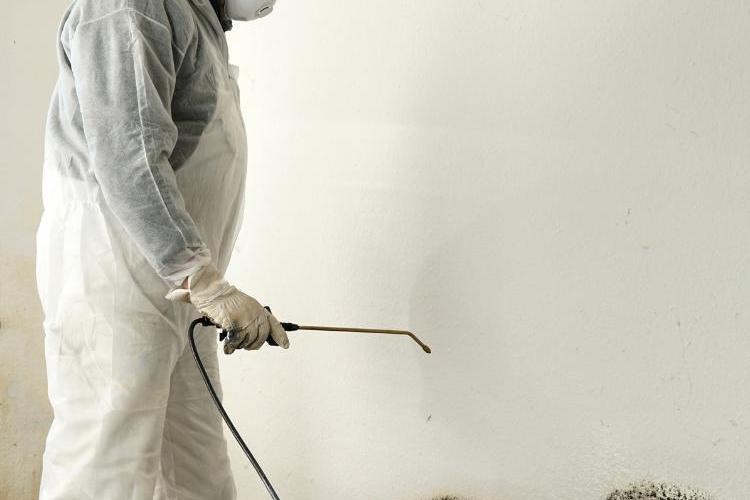 The Man is cleaning a the molds